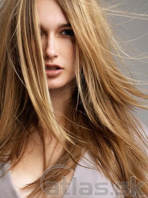 628765[1].jpg